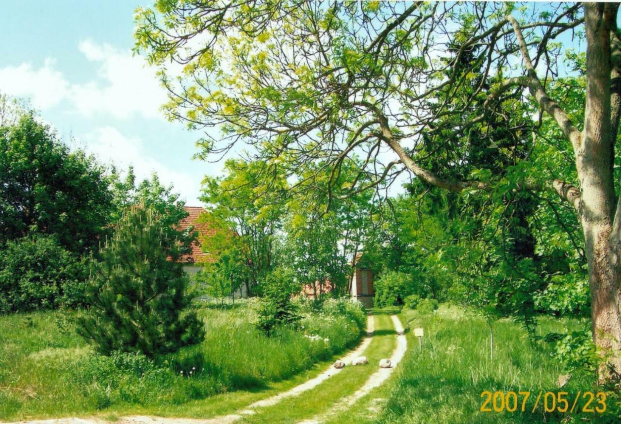 Apartamento Gutshaus Alt-Jargenow Alt Jargenow Exterior foto